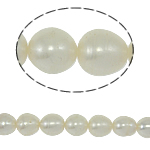 Cultured Rice Freshwater Pearl Beads natural white Grade A 8-9mm Approx 0.8mm Sold Per 15 Inch Strand