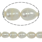 Ris odlad sötvattenspärla pärlor, Freshwater Pearl, naturlig, vit, Grade A, 9-10mm, Hål:Ca 0.8mm, Såld Per 14.5 inch Strand