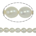 Ris odlad sötvattenspärla pärlor, Freshwater Pearl, naturlig, vit, Grade A, 9-10mm, Hål:Ca 0.8mm, Såld Per 14.5 inch Strand