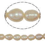 Ris odlad sötvattenspärla pärlor, Freshwater Pearl, naturlig, rosa, Grade A, 10-11mm, Hål:Ca 1.5mm, Såld Per 15 inch Strand