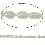 Rice Kulturan Slatkovodni Pearl perle, Riža, prirodan, bijel, ocjena, 3-4mm, Rupa:Približno 0.8mm, Prodano Per 15 inčni Strand