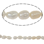 Rýže kultivované sladkovodní perle, Sladkovodní Pearl, přírodní, bílý, Grade, 2-3mm, Otvor:Cca 0.8mm, Prodáno za 15 inch Strand