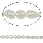 Ris odlad sötvattenspärla pärlor, Freshwater Pearl, naturlig, vit, Grade A, 3-4mm, Hål:Ca 0.8mm, Såld Per Ca 14 inch Strand