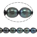 Rýže kultivované sladkovodní perle, Sladkovodní Pearl, přírodní, zelený, Grade, 8-9mm, Otvor:Cca 0.8mm, Prodáno za 15 inch Strand