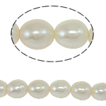 Ris odlad sötvattenspärla pärlor, Freshwater Pearl, naturlig, vit, Grade A, 8-9mm, Hål:Ca 0.8mm, Såld Per 14.5 inch Strand