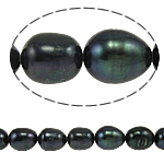 Perles d'eau douce de culture de riz, perle d'eau douce cultivée, naturel, noire, grade A, 9-10mm, Trou:Environ 0.8mm, Vendu par 14.5 pouce brin