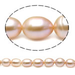 Rýže kultivované sladkovodní perle, Sladkovodní Pearl, přírodní, růžový, Grade, 10-11mm, Otvor:Cca 0.8mm, Prodáno za 15.5 inch Strand