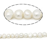 Grânulos pérolas cultivads de água doce, Pérolas de água doce, Batata, naturais, branco, Grade AA, 8-9mm, Buraco:Aprox 0.8mm, vendido para 15 inchaltura Strand