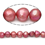 Grânulos pérolas cultivads de água doce, Pérolas de água doce, Batata, naturais, vermelho, Grade AA, 8-9mm, Buraco:Aprox 0.8mm, vendido para 15 inchaltura Strand