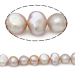 Brambor pěstované sladkovodní perle, Sladkovodní Pearl, přírodní, růžový, Grade AA, 9-10mm, Otvor:Cca 0.8mm, Prodáno za 15 inch Strand