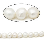 Grânulos pérolas cultivads de água doce, Pérolas de água doce, Batata, naturais, branco, Grade AA, 9-10mm, Buraco:Aprox 0.8mm, vendido para 15 inchaltura Strand