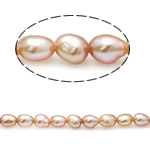 Rice Kulturan Slatkovodni Pearl perle, Riža, prirodan, roze, ocjena, 3-3.5mm, Rupa:Približno 0.8mm, Prodano Per 15 inčni Strand