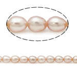 Ris odlad sötvattenspärla pärlor, Freshwater Pearl, naturlig, rosa, Grade A, 3.8-4.2mm, Hål:Ca 0.8mm, Såld Per 15 inch Strand