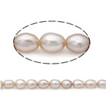 Rýže kultivované sladkovodní perle, Sladkovodní Pearl, přírodní, nachový, Grade, 3.8-4.2mm, Otvor:Cca 0.8mm, Prodáno za 15 inch Strand