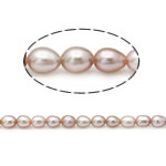 Rýže kultivované sladkovodní perle, Sladkovodní Pearl, přírodní, růžový, Grade, 3.8-4.2mm, Otvor:Cca 0.8mm, Prodáno za 15 inch Strand