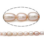 Rýže kultivované sladkovodní perle, Sladkovodní Pearl, přírodní, růžový, Grade, 4-5mm, Otvor:Cca 0.8mm, Prodáno za 15 inch Strand