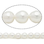 Rýže kultivované sladkovodní perle, Sladkovodní Pearl, přírodní, bílý, Grade, 6mm, Otvor:Cca 0.8mm, Prodáno za 15 inch Strand