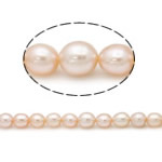 Ris odlad sötvattenspärla pärlor, Freshwater Pearl, naturlig, rosa, Grade A, 6mm, Hål:Ca 0.8mm, Såld Per 15 inch Strand