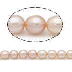 Ris odlad sötvattenspärla pärlor, Freshwater Pearl, naturlig, rosa, Grade A, 7-8mm, Hål:Ca 0.8mm, Såld Per 15 inch Strand