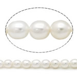 Rýže kultivované sladkovodní perle, Sladkovodní Pearl, přírodní, bílý, Grade, 7-8mm, Otvor:Cca 0.8mm, Prodáno za 15 inch Strand