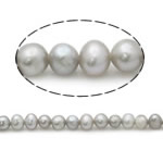 Brambor pěstované sladkovodní perle, Sladkovodní Pearl, přírodní, šedá, Grade AA, 3-4mm, Otvor:Cca 0.8mm, Prodáno za 15 inch Strand