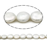 Coin Gekweekte Zoetwater Parel kralen, Grade AA, 12-13mm, Gat:Ca 0.8mm, Per verkocht 15 inch Strand