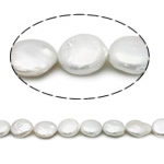 Coin odlad sötvattenspärla pärlor, Freshwater Pearl, vit, Grade AAA, 14mm, Hål:Ca 0.8mm, Såld Per 15 inch Strand