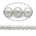 Barokní kultivované sladkovodní perle, Sladkovodní Pearl, šedá, 15-18mm, Otvor:Cca 0.8mm, Prodáno za 15 inch Strand