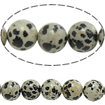 Dalmatian Beads, dalmata, Cerchio, naturale, 8mm, Foro:Appross. 1mm, Lunghezza Appross. 15 pollice, 10Strandstrefolo/lotto, Appross. 46PC/filo, Venduto da lotto