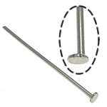 In acciaio inox Headpins, 304 acciaio inox, colore originale, 0.6x16mm, 1.5x2mm, Appross. 25000PC/kg, Venduto da kg