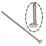 In acciaio inox Headpins, 304 acciaio inox, colore originale, 0.6x20mm, 1.6x2.2mm, Appross. 20000PC/kg, Venduto da kg