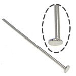 Ruostumaton teräs headpins, 304 Stainless Steel, alkuperäinen väri, 0.6x24mm, 1.3x2mm, N. 16667PC/KG, Myymät KG