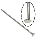 In acciaio inox Headpins, 304 acciaio inox, colore originale, 0.6x28mm, 1.5x2mm, Appross. 16667PC/kg, Venduto da kg