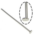 RVS Headpins, 304 roestvrij staal, oorspronkelijke kleur, 0.6x38mm, 1.6x1.9mm, Ca 8333pC's/KG, Verkocht door KG