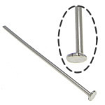 In acciaio inox Headpins, 304 acciaio inox, colore originale, 0.6x45mm, 1.5x2mm, Appross. 6667PC/kg, Venduto da kg