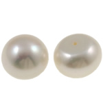 Metà forato coltivate in acqua dolce Perla, perla d'acquadolce coltivata naturalmente, Cupola, naturale, mezzo foro, bianco, Grade AA, 13-14mm, Foro:Appross. 0.8mm, Venduto da coppia