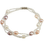 Fionnuisce saothraithe Pearl Bracelet, Pearl Fionnuisce, le Coirníní Gloine Síl, iarann clasp scriú, 5-6mm, Díolta Per 7.5 Inse Snáithe