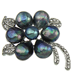 Freshwater Pearl Broche, Ferskvandsperle, med Zinc Alloy, Flower, sort, 54x38x16mm, Solgt af PC