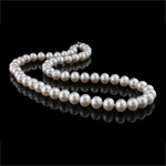 Colar de Pérolas de Água Doce Natural, Pérolas de água doce, Bronze Fecho, Roda, branco, Grade AAA, 8-9mm, vendido para 17 inchaltura Strand