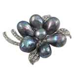 Freshwater Pearl Broche, Ferskvandsperle, med Zinc Alloy, Flower, sort, 44x55mm, Solgt af PC