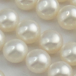 Half Vrtané kultivované sladkovodní perle, Sladkovodní Pearl, Kolo, přírodní, half-vrtané, bílý, 9.5-10mm, Otvor:Cca 0.5mm, 27páry/Lot, Prodáno By Lot