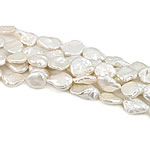 Coin Gekweekte Zoetwater Parel kralen, wit, Grade AAA, 12-15mm, Gat:Ca 0.8mm, Per verkocht 15.5 inch Strand