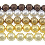 South Sea Shell Beads Round mixed colors 10mm Approx 0.8mm Length Approx 16 Inch  Sold By Bag