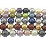 Perline conchiglia mari del sud, Cerchio, colori misti, 12mm, Foro:Appross. 0.8mm, Lunghezza Appross. 16 pollice, 3Strandstrefolo/borsa, 33PC/filo, Venduto da borsa