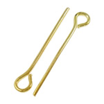 Ferro Eyepins, placcato color oro, assenza di nichel,piombo&cadmio, 0.70x18mm, Foro:Appross. 2mm, Appross. 330PC/borsa, Venduto da borsa