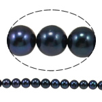 Runde ferskvandskulturperle Beads, Ferskvandsperle, naturlig, sort, Grade AA, 8-9mm, Hole:Ca. 0.8mm, Solgt Per 15 inch Strand