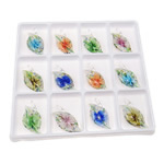 Innen Blume Lampwork Anhänger, Blatt, gemischte Farben, 23x50x12.70mm, Bohrung:ca. 5mm, 12PCs/Box, verkauft von Box