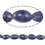 Plattierte Lampwork Perlen, oval, 25x17x10mm, Bohrung:ca. 2mm, 100PCs/Tasche, verkauft von Tasche