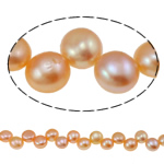 Cultured Coin Freshwater Pearl Beads pink 7-8mm Approx 0.8mm Sold Per 15 Inch Strand