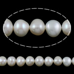 Barokna Kulturan Slatkovodni Pearl perle, bijel, Razred AAA, 10-11mm, Rupa:Približno 0.8mm, Prodano Per 15.5 inčni Strand